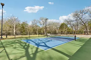 302 Constanza Trl, Bastrop, TX 78602 - Photo 4