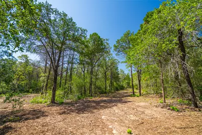 1247 Sand Hills Road, Rosanky, TX 78953 - Photo 16