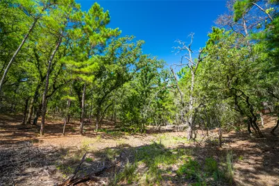 1247 Sand Hills Road, Rosanky, TX 78953 - Photo 14
