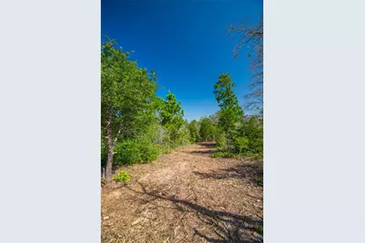 1247 Sand Hills Road, Rosanky, TX 78953 - Photo 12