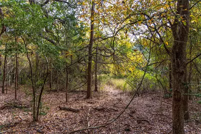 1250 Ladewig Lane, Schulenburg, TX 78956 - Photo 28