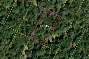 137 Las Alturas Dr, Elgin, TX 78621 - Photo 1