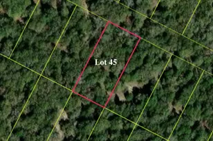 137 Las Alturas Dr, Elgin, TX 78621 - Photo 1