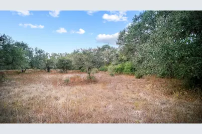 Tbd Wild Wing Preserve, Columbus, TX 78640 - Photo 16