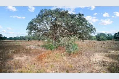 Tbd Wild Wing Preserve, Columbus, TX 78640 - Photo 18