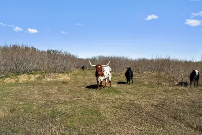 0 Rolling Ridge Road, Lockhart, TX 78644 - Photo 34