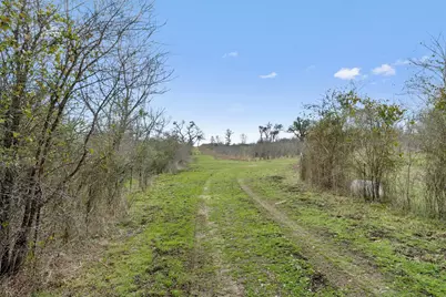 0 Rolling Ridge Road, Lockhart, TX 78644 - Photo 6