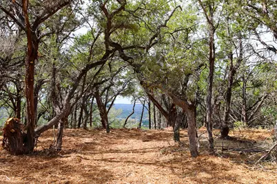 Tract 4 Buttercup Lane, Wimberley, TX 78676 - Photo 4