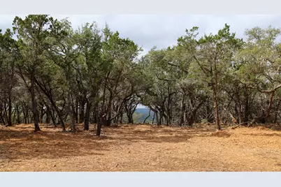 Tract 4 Buttercup Lane, Wimberley, TX 78676 - Photo 2