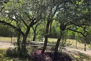 22408 Chipotle Pass, Spicewood, TX 78669 - Photo 28