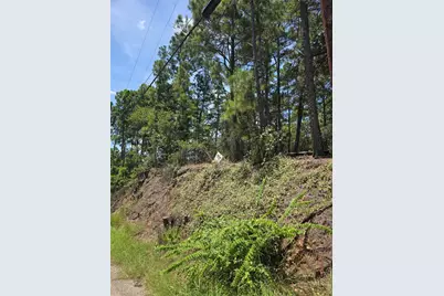 Lot 136 Akaloa Drive, Bastrop, TX 78602 - Photo 1