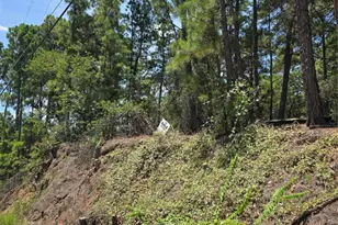 Lot 136 Akaloa Dr, Bastrop, TX 78602 - Photo 1