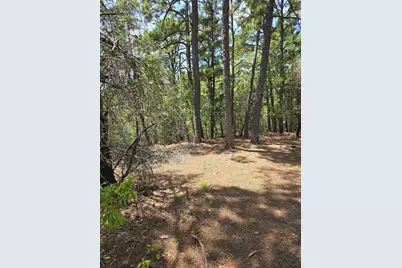 Lot 136 Akaloa Drive, Bastrop, TX 78602 - Photo 2