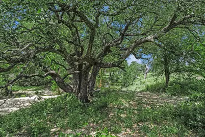 5150 Cr 254, Bertram, TX 78605 - Photo 20