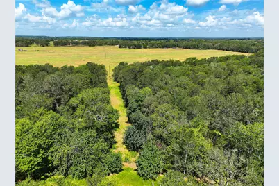0000 Fm 2239, Paige, TX 78659 - Photo 12