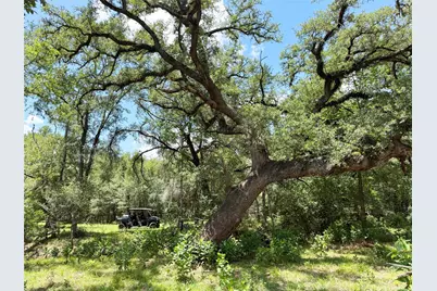 0000 Fm 2239, Paige, TX 78659 - Photo 1