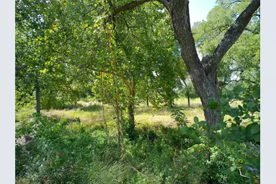 101 Scotty Lane, Liberty Hill, TX 78642 - Photo 6
