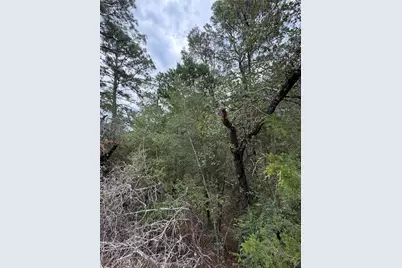Lots  407 and 408 Molokini Drive, Bastrop, TX 78602 - Photo 6