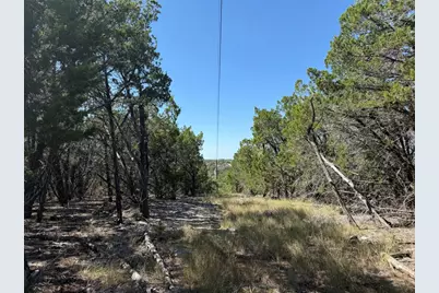 917 Roy Creek Trail, Dripping Springs, TX 78620 - Photo 2