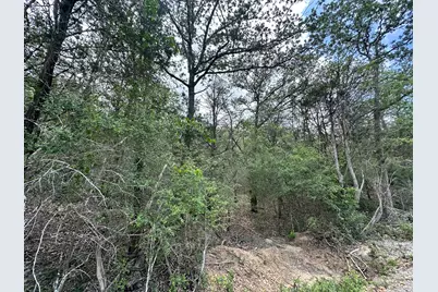 173 Kaaawa Lane, Bastrop, TX 78602 - Photo 4