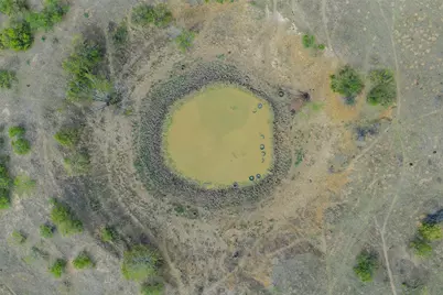 579 Lower Elgin Road, Elgin, TX 78621 - Photo 34