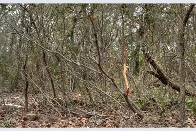 000 Leona Ranch Road, Brackettville, TX 78832 - Photo 10