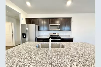 264 Texas Palmetto Circle, Kyle, TX 78640 - Photo 10