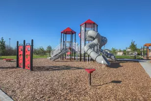 264 Texas Palmetto Cir, Kyle, TX 78640 - Photo 32