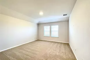 264 Texas Palmetto Cir, Kyle, TX 78640 - Photo 16