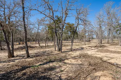 661 Hidden Oak Road, Lockhart, TX 78616 - Photo 2