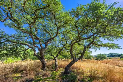 1495 Walnut Springs Road, Johnson City, TX 78636 - Photo 22