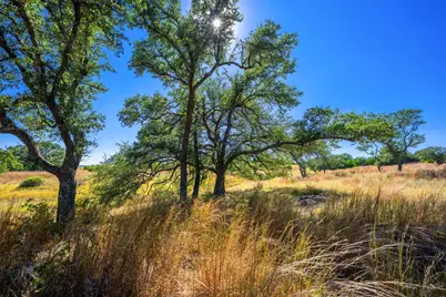 1495 Walnut Springs Road, Johnson City, TX 78636 - Photo 10