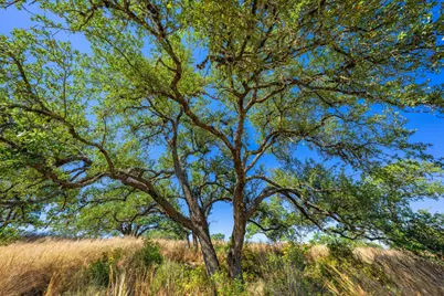 1495 Walnut Springs Road, Johnson City, TX 78636 - Photo 20