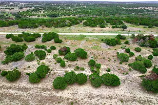 00000 River Shoals Dr, Kempner, TX 76539 - Photo 6