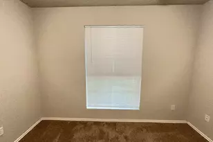 3413 Walleye Way, Round Rock, TX 78665 - Photo 14