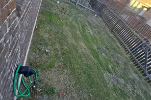 602D Pearly Eye Dr, Pflugerville, TX 78660 - Photo 2