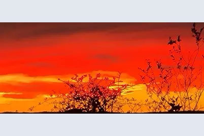 4337 Opera Path, Leander, TX 78641 - Photo 36