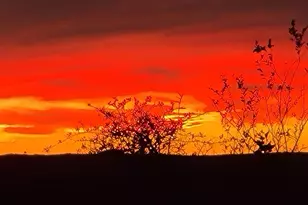 4337 Opera Path, Leander, TX 78641 - Photo 36