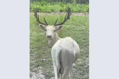 322 Whispering Woods Drive, Rockport, TX 78382 - Photo 38