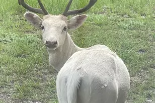 322-342 Whispering Woods Dr, Rockport, TX 78382 - Photo 38