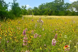 6013 Abilene Trl, Austin, TX 78749 - Photo 22