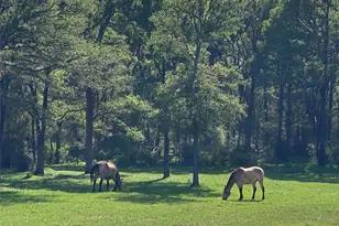 1985 Co Rd 309, Lexington, TX 78947 - Photo 1