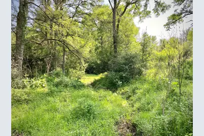 1985 Cr 309, Lexington, TX 78947 - Photo 8