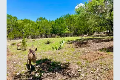 21422 Patton Avenue, Lago Vista, TX 78645 - Photo 10