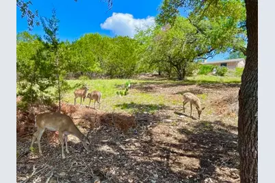 21422 Patton Avenue, Lago Vista, TX 78645 - Photo 2