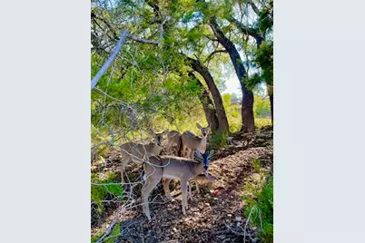 21422 Patton Avenue, Lago Vista, TX 78645 - Photo 6