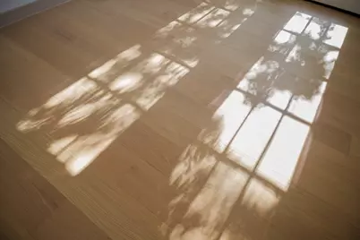 1905 E 21 Street, Austin, TX 78722 - Photo 20