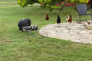 255 Glasscock Rd, Liberty Hill, TX 78642 - Photo 38