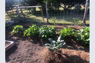 255 Glasscock Road, Liberty Hill, TX 78642 - Photo 36