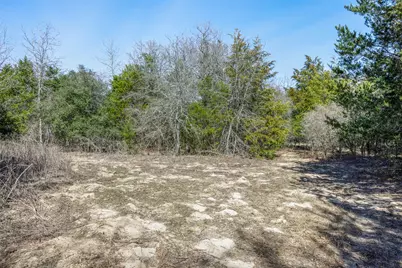 4.81 Ac Pauline Lane, Caldwell, TX 77836 - Photo 16